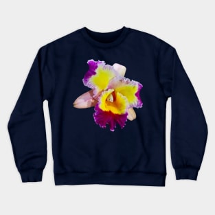 Yellow and Magenta Cattleya Orchid Crewneck Sweatshirt